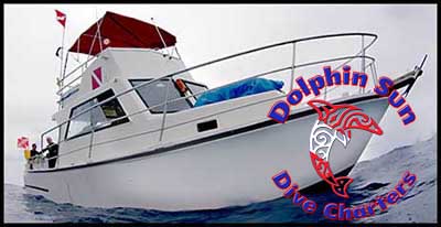Dolphin Sun Dive Charters | Boynton Beach, FL | South Florida Scuba Diving