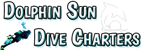 Dolphin Sun Dive Charters | Boynton Beach, FL | Best south Florida Scuba Diving Charter