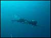 Dolphin Sun Charters | South Florida | Best Scuba Diving | Scuba Diving South Florida