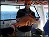 Dolphin Sun Charters | South Florida | Best Scuba Diving | Palm Beach Dive Boat