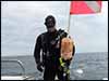 Dolphin Sun Charters | South Florida | Best Scuba Diving | Lantana, FL Dive Boat